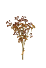 Indaba Trading Meadow Grass Bouquet in Russet