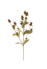 Indaba Trading Globe Amaranth Spray