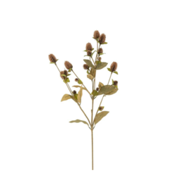 Indaba Trading Globe Amaranth Spray