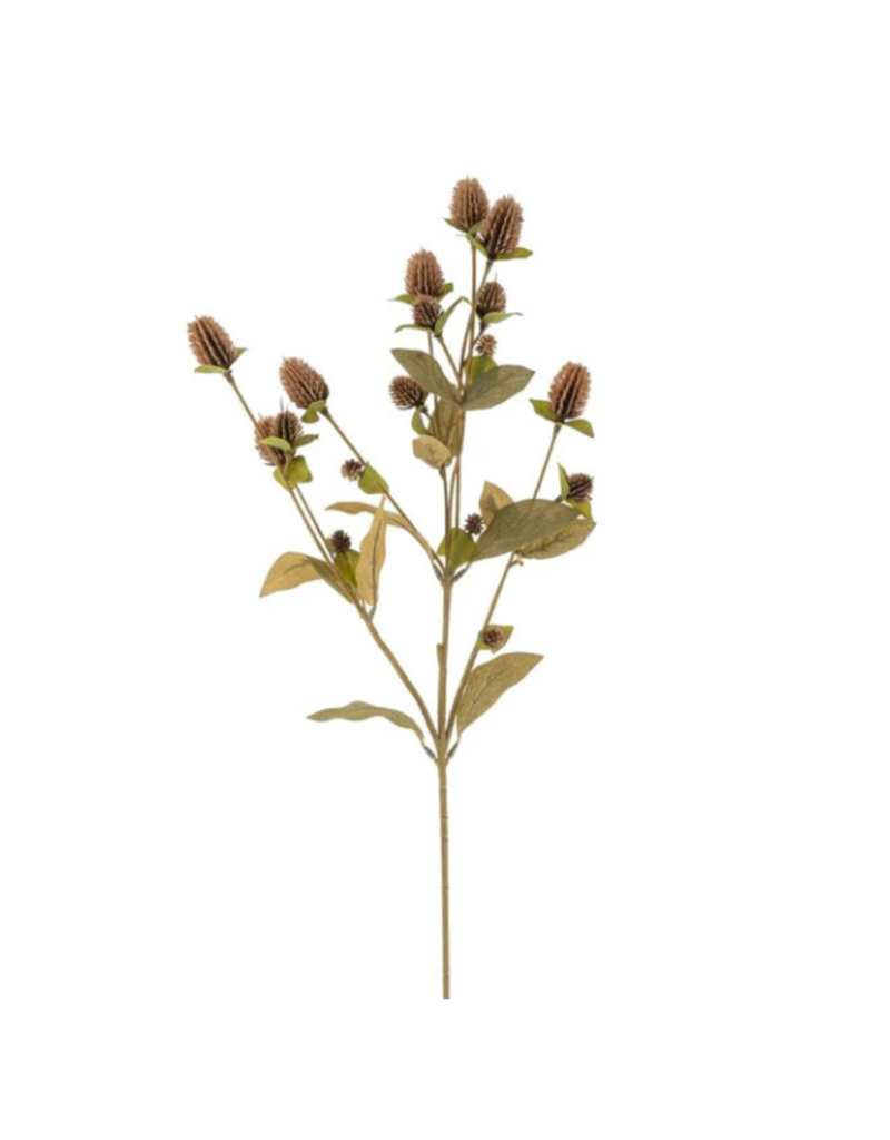 Indaba Trading Globe Amaranth Spray