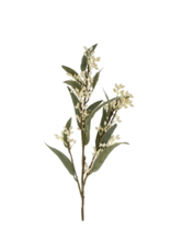 Indaba Trading Flowering Eucalyptus Branch