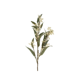 Indaba Trading Flowering Eucalyptus Branch