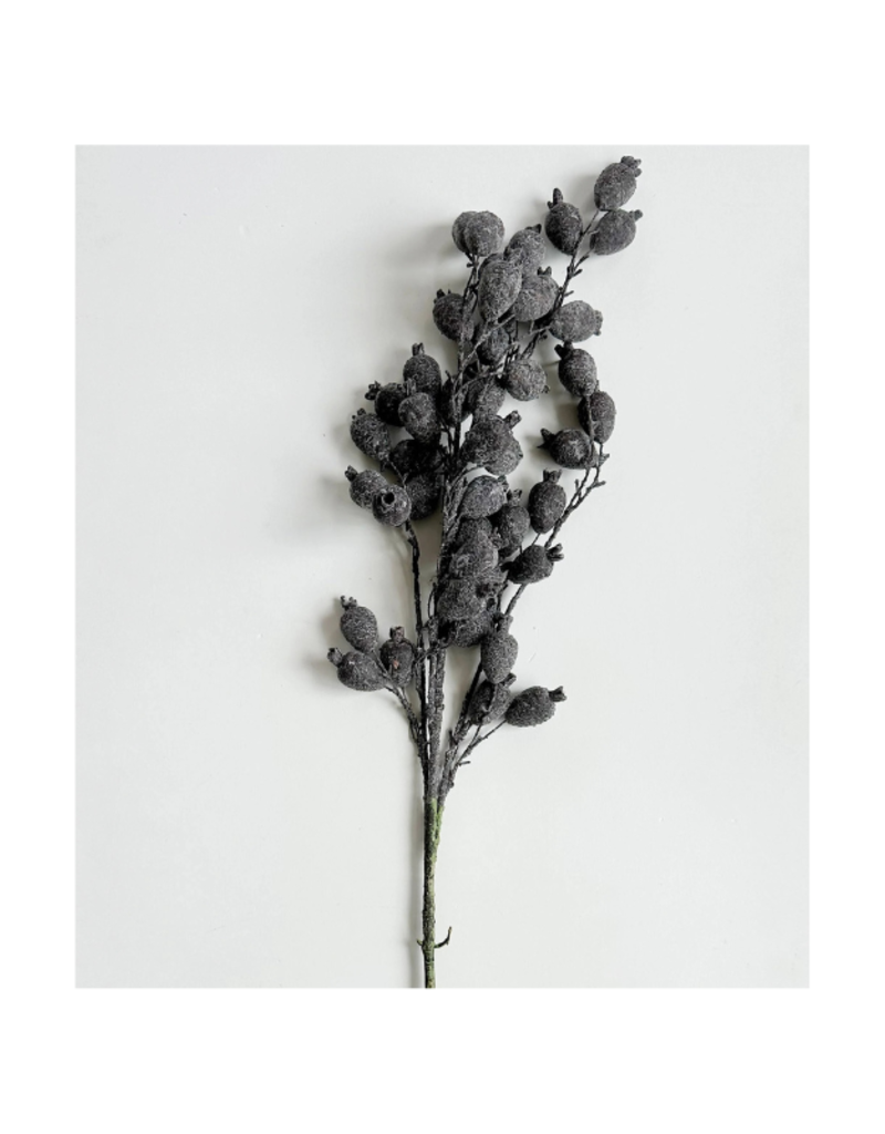 Indaba Trading Dried Berry Branch in Dark Purple