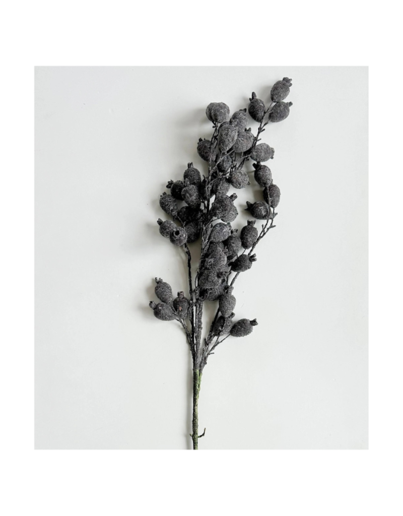 Indaba Trading Dried Berry Branch in Dark Purple