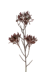 Indaba Trading Wild Flower Spray in Dark Purple