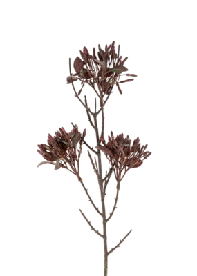 Indaba Trading Wild Flower Spray in Dark Purple