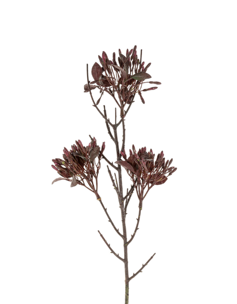 Indaba Trading Wild Flower Spray in Dark Purple