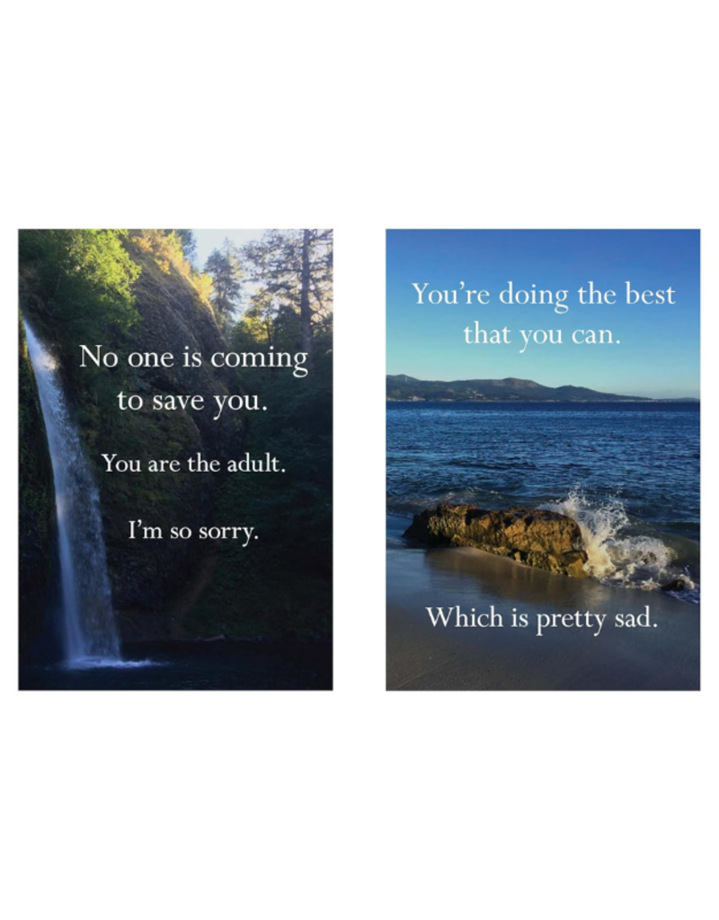 Raincoast Books Dissappointing Affirmations Book