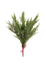 Cedar Bundle Pick