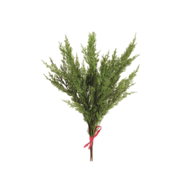 Cedar Bundle Pick