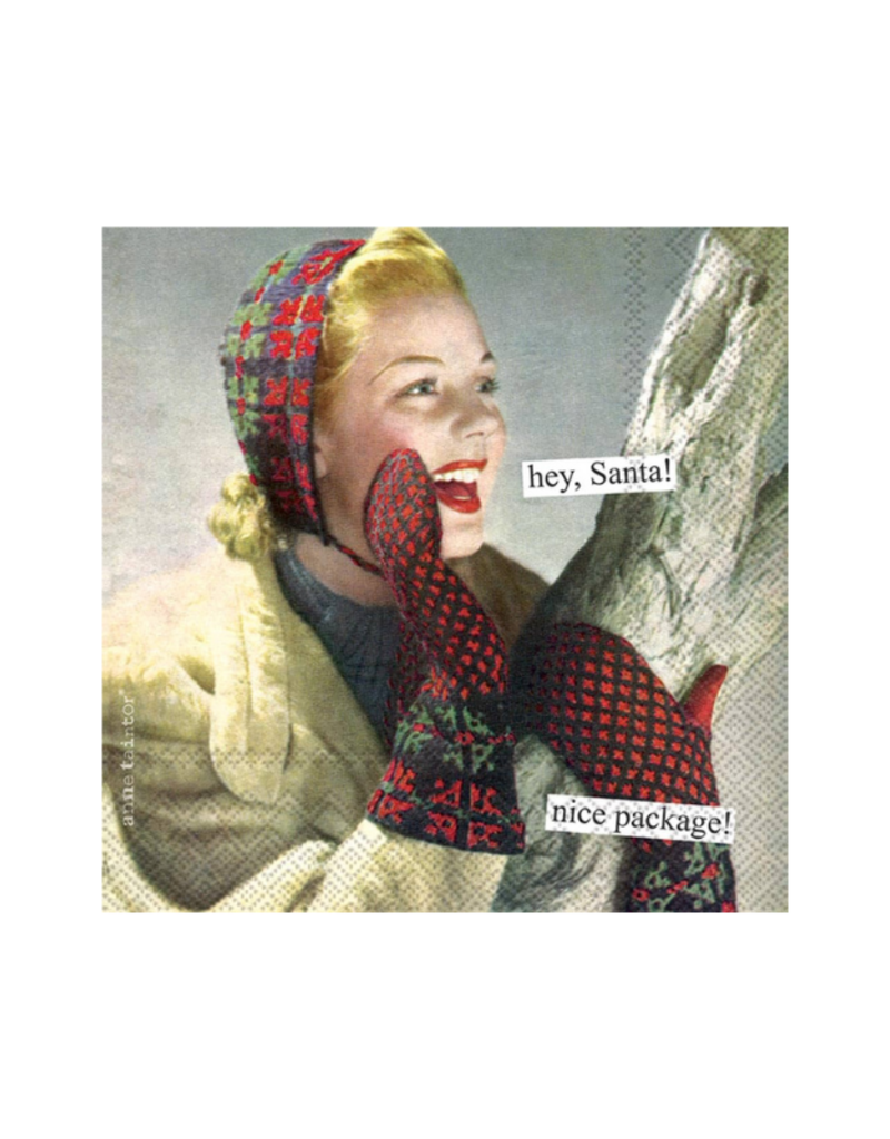 Nice Package Christmas Cocktail Napkins