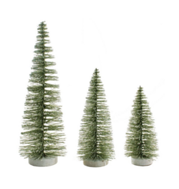 Moss Green Bristle Tree