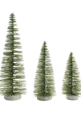 Moss Green Bristle Tree