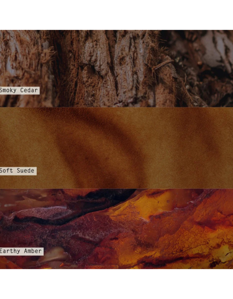 Illume Woodfire Glass Acorn Candle by Illume