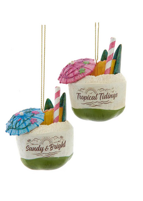 Resin Coconut Drink Ornament