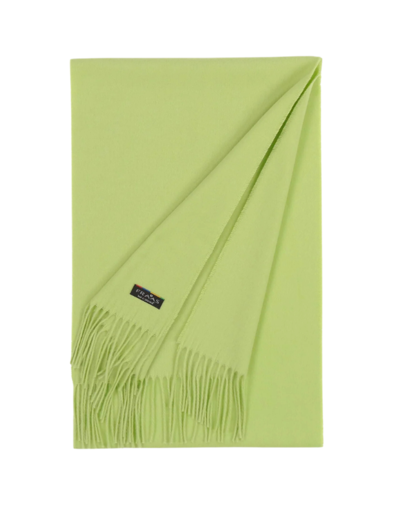 Fraas Solid Cashmink Scarf in Green by Fraas