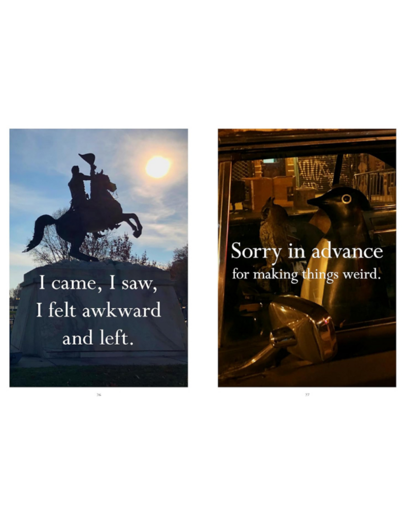 Raincoast Books Sorry in Advance for Making Things Weird: A Disappointing Affirmations Collection