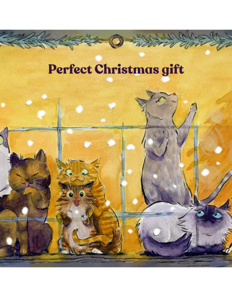 Raincoast Books The Twelve Cats Of Christmas Book