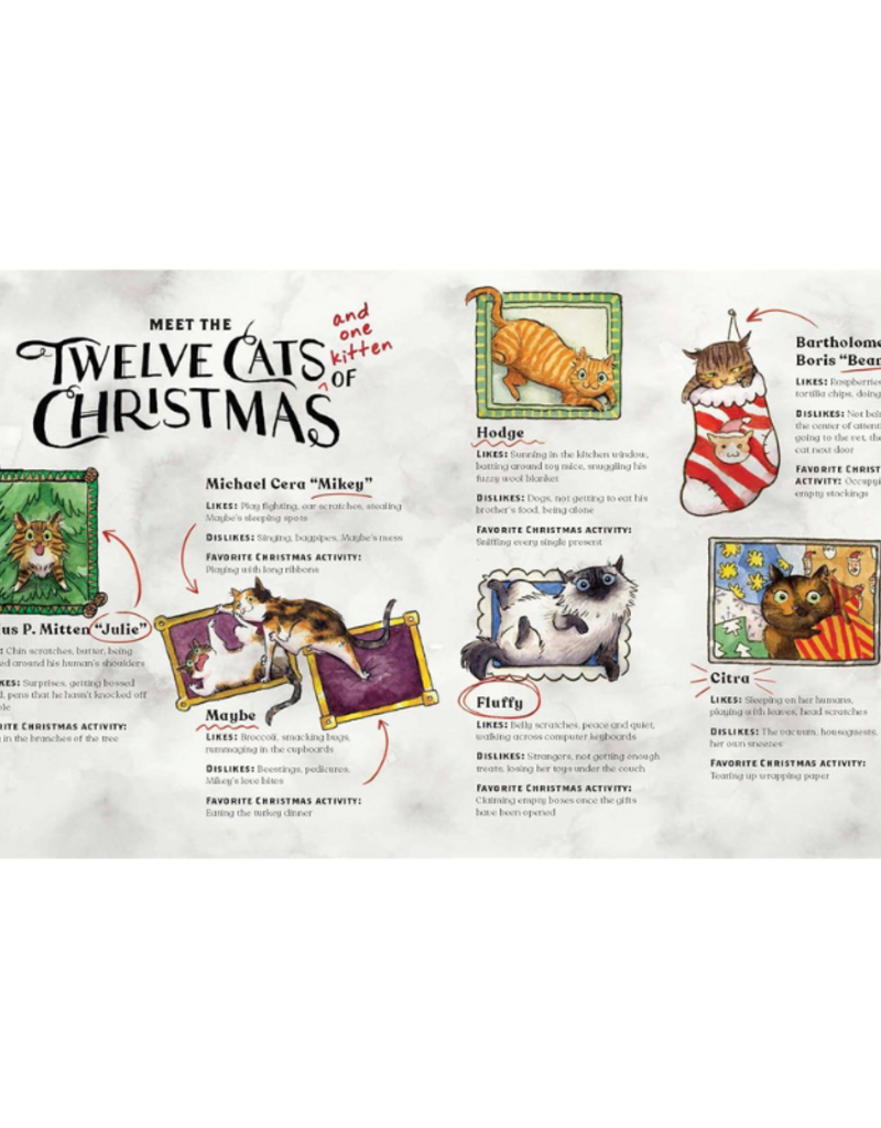 Raincoast Books The Twelve Cats Of Christmas Book