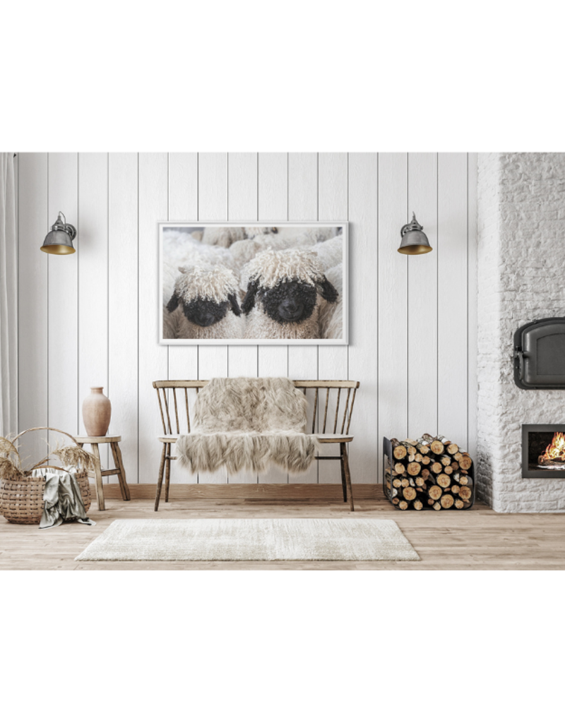 Celadon Art Valais Blacknose Sheep Print