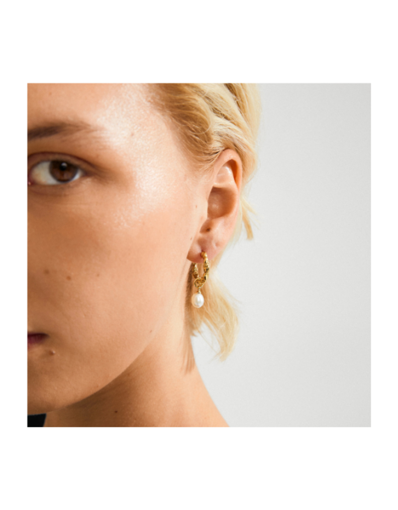 PILGRIM Shift Pearl Earrings in Gold by Pilgrim