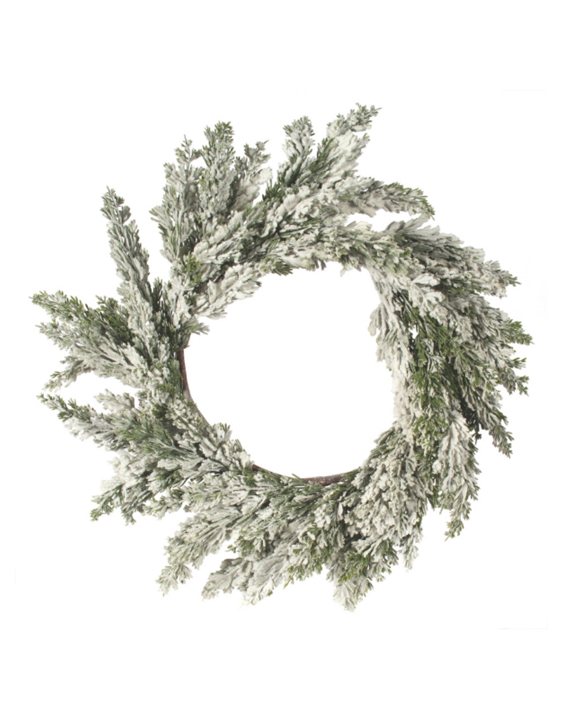 Cypress And Snow Wreath 24"