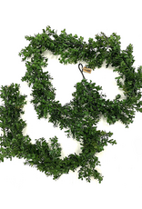 Boxwood Garland 9'
