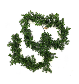 Boxwood Garland 9'