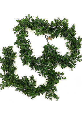 Boxwood Garland 9'