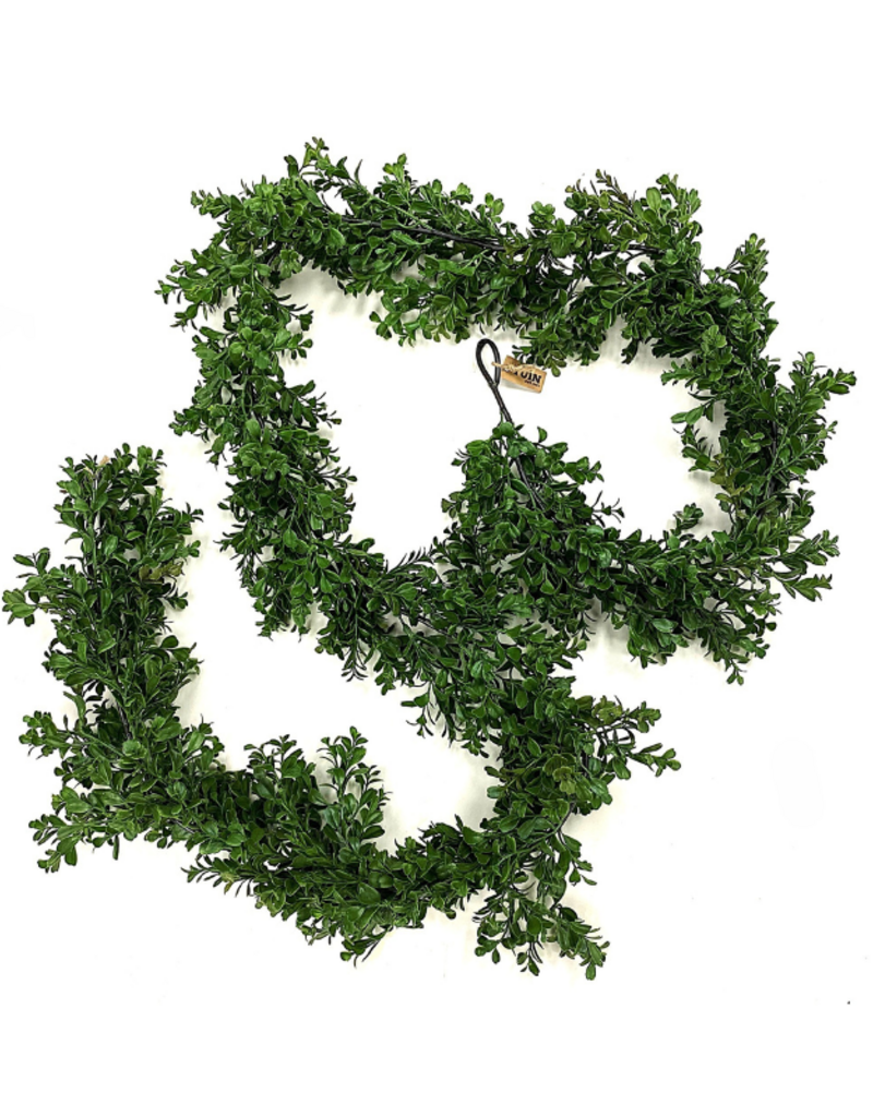Boxwood Garland 9'