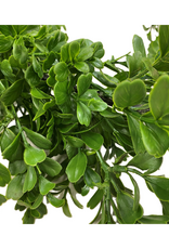 Boxwood Garland 9'
