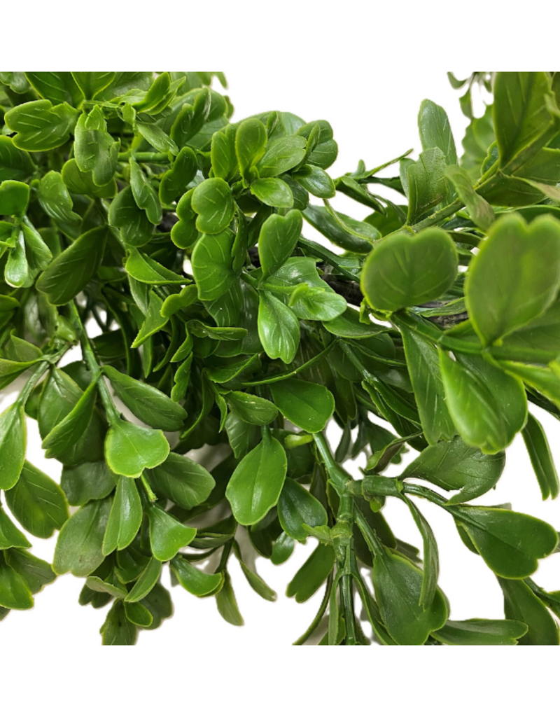 Boxwood Garland 9'
