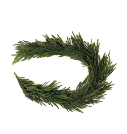 Norfolk Pine Garland Dark 6'