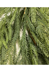 Norfolk Pine Garland Dark 6'