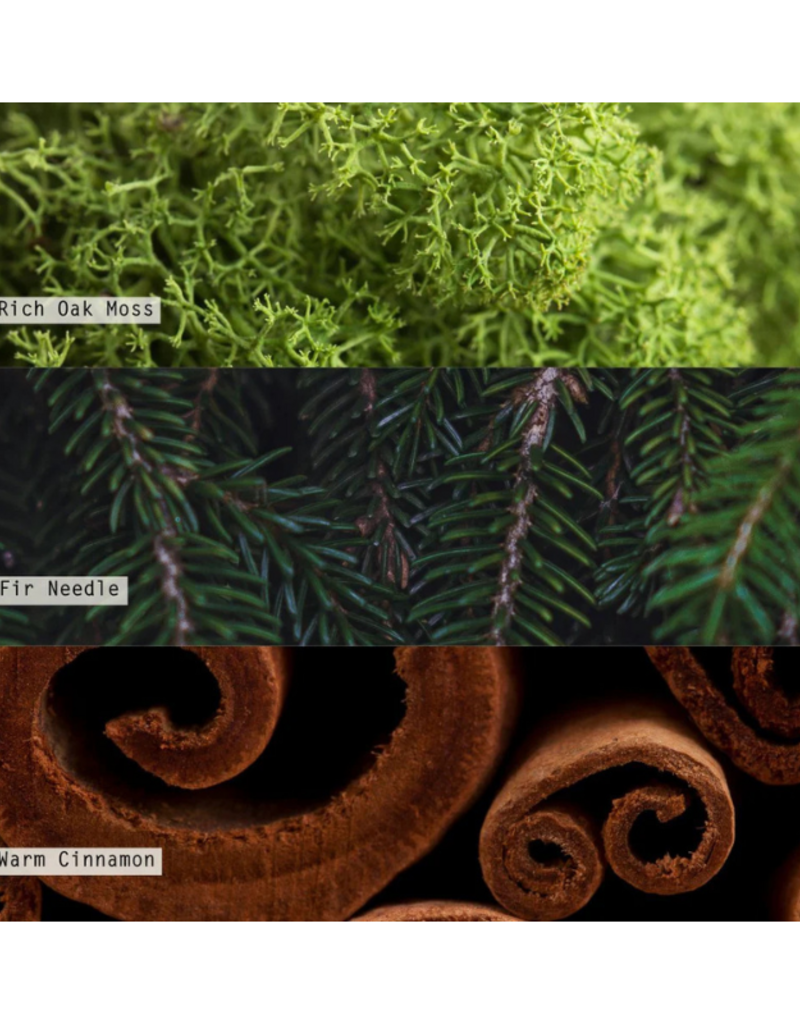 Illume Balsam & Cedar Refillable Aromatic Diffuser by Illume