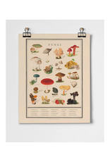 Fungi Fine Art Print
