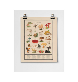 Fungi Fine Art Print