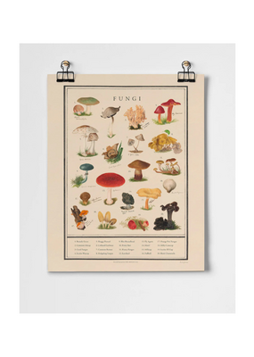 Fungi Fine Art Print