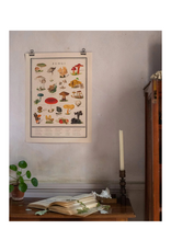 Fungi Fine Art Print