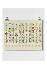 Wildflowers Fine Art Print