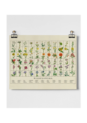 Wildflowers Fine Art Print