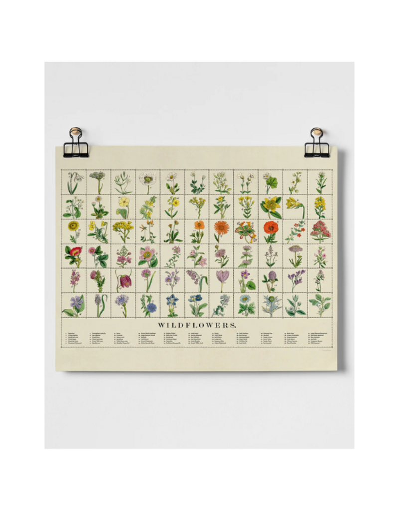 Wildflowers Fine Art Print