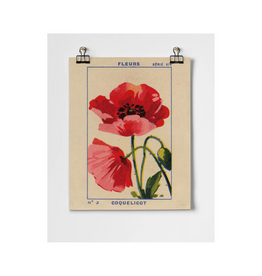 Coquelicot Poppy Fine Art Print