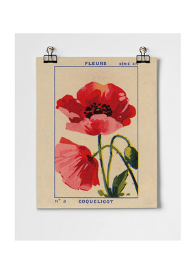 Coquelicot Poppy Fine Art Print