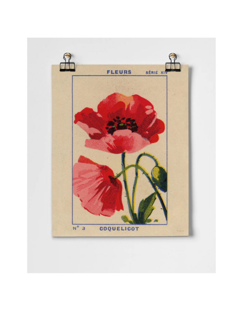 Coquelicot Poppy Fine Art Print