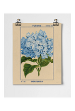 Hydrangea Fine Art Print