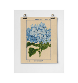 Hydrangea Fine Art Print