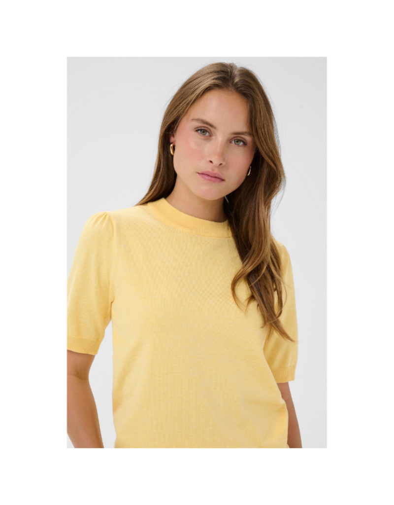 Saint Tropez Mila Shortsleeve in Lemon Drop Melange by Saint Tropez
