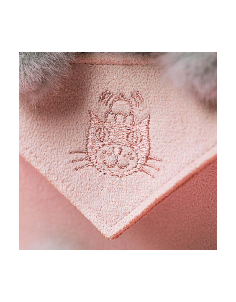 Jellycat COMING SOON! Jellycat Koala with Message