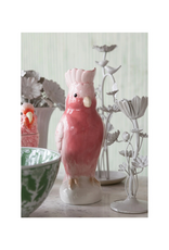 Cockatoo Pitcher